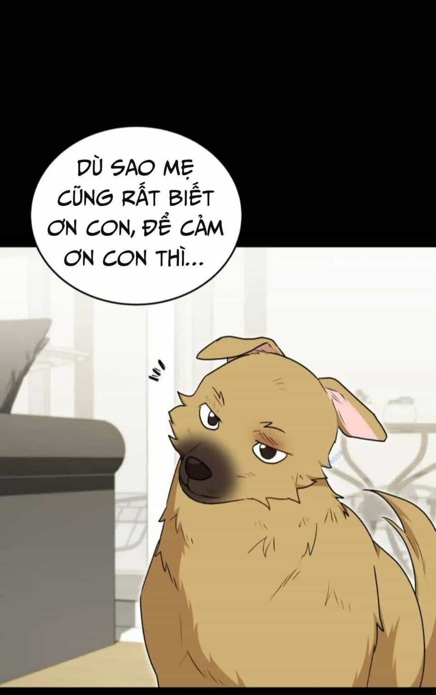 Xin Chào! Bác Sĩ Thú Y - Chương 18 - ảnh 11