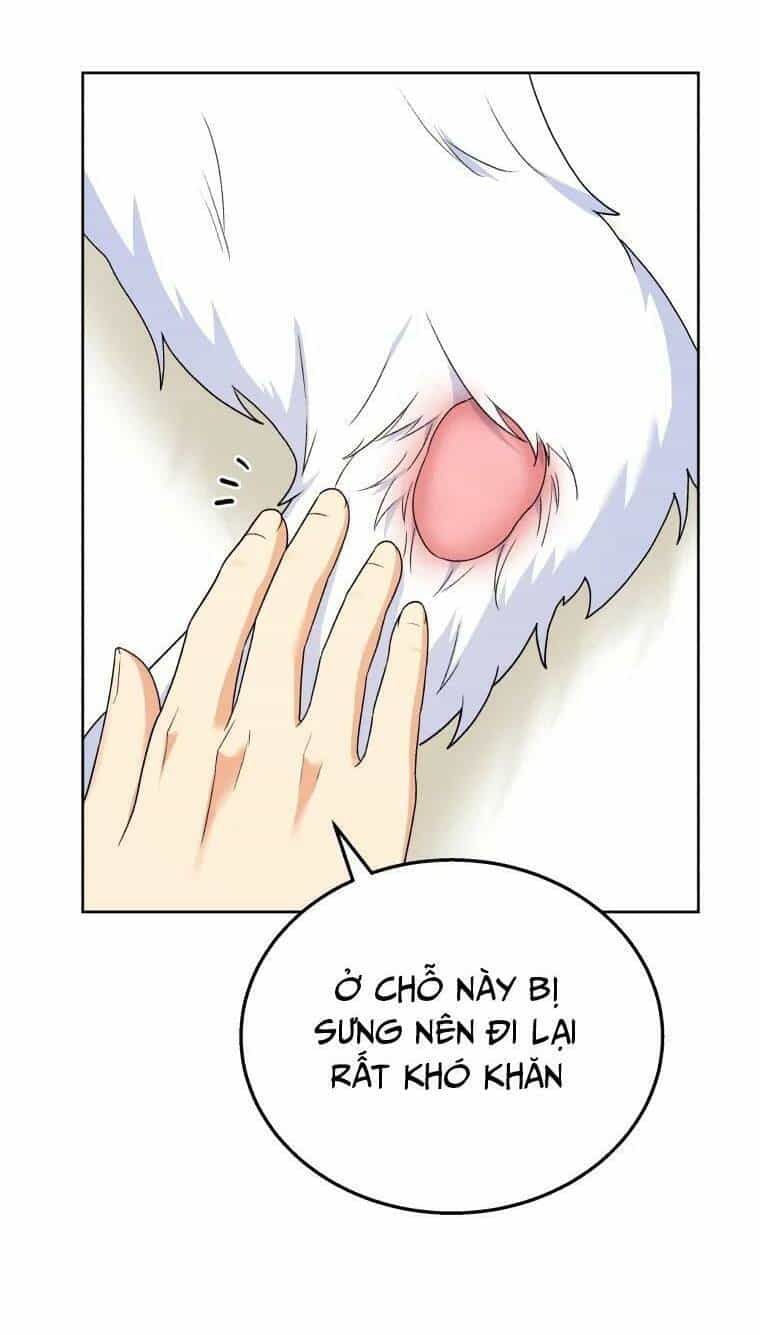 Xin Chào! Bác Sĩ Thú Y - Chương 23 - ảnh 6