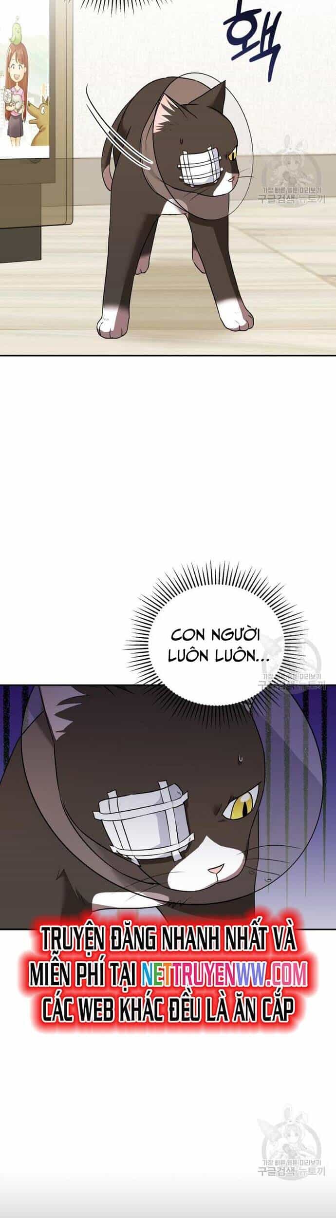 Xin Chào! Bác Sĩ Thú Y - Chương 28 - ảnh 13