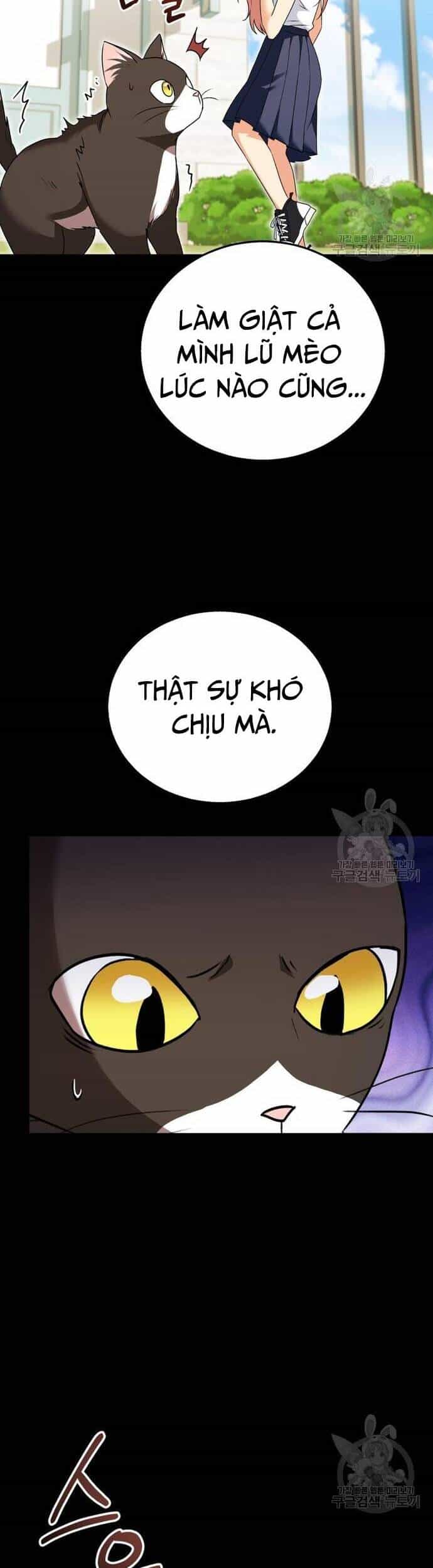 Xin Chào! Bác Sĩ Thú Y - Chương 28 - ảnh 15