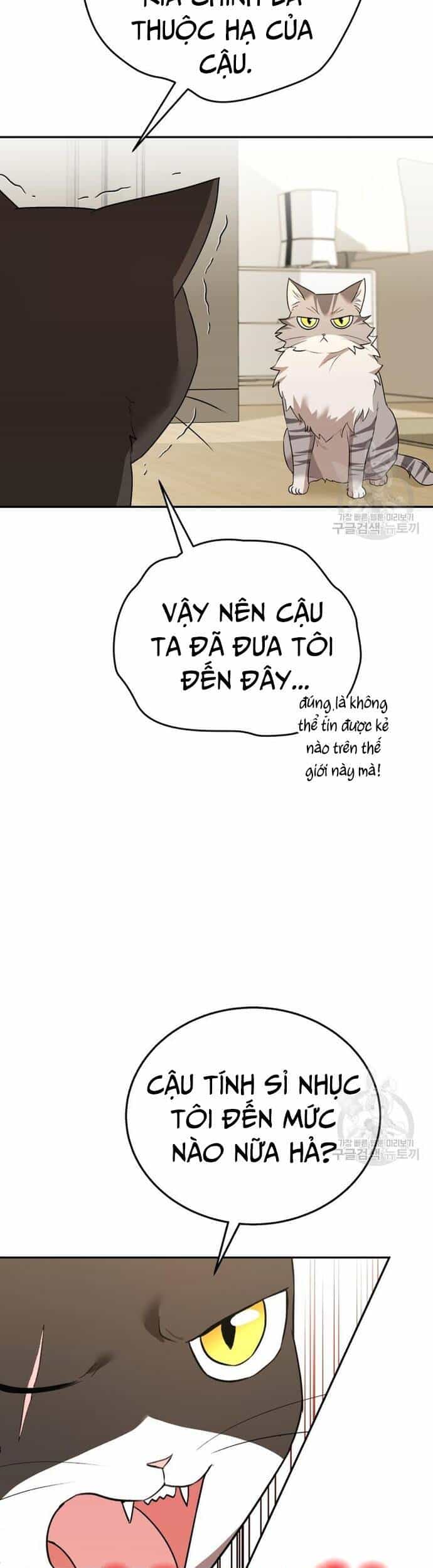 Xin Chào! Bác Sĩ Thú Y - Chương 30 - ảnh 26
