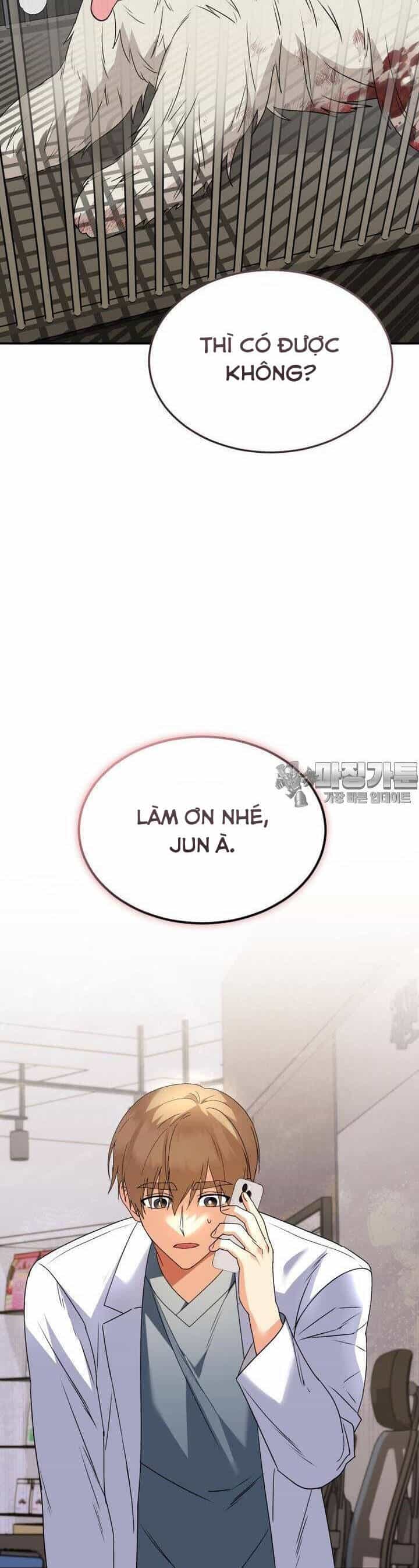 Xin Chào! Bác Sĩ Thú Y - Chương 48 - ảnh 11