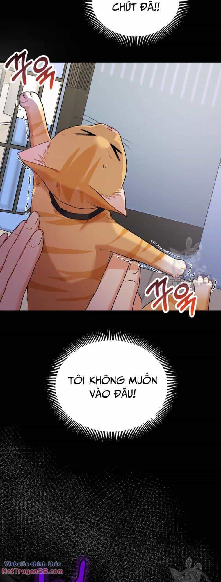 Xin Chào! Bác Sĩ Thú Y - Chương 7 - ảnh 47