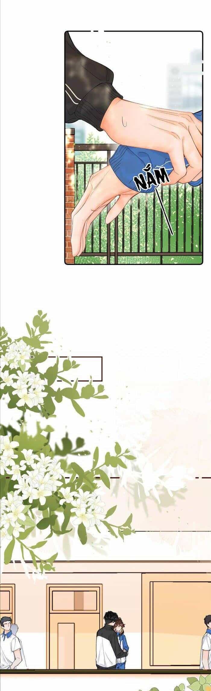 Xin Hãy Chăm Sóc Nhiều Hơn - Chương 8 - ảnh 8