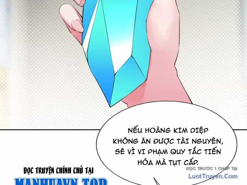 Xong Rồi, Ta Bị Sủng Thú Của Mình Bao Vây Rồi! - Chương 27 - ảnh 61