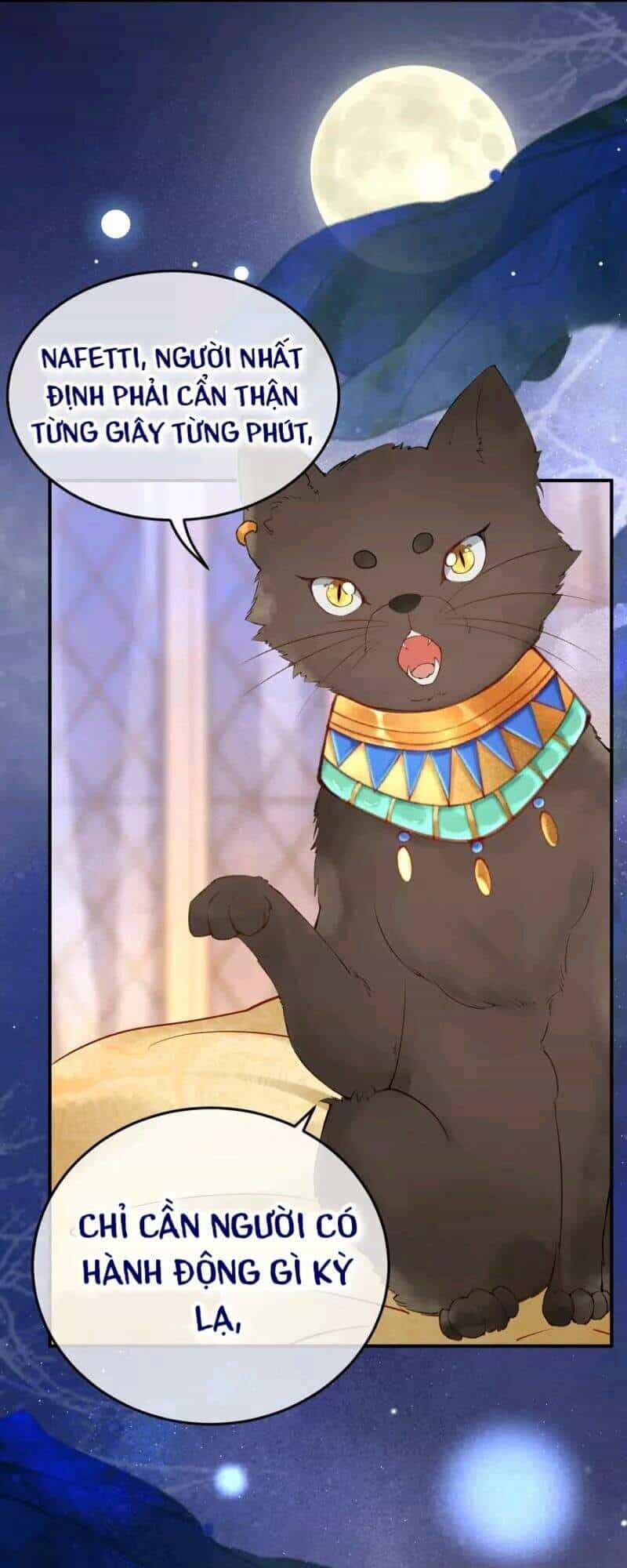 Xuyên Đến Ai Cập : Trở Thành Cô Dâu Của Vương - Chương 14 - ảnh 17
