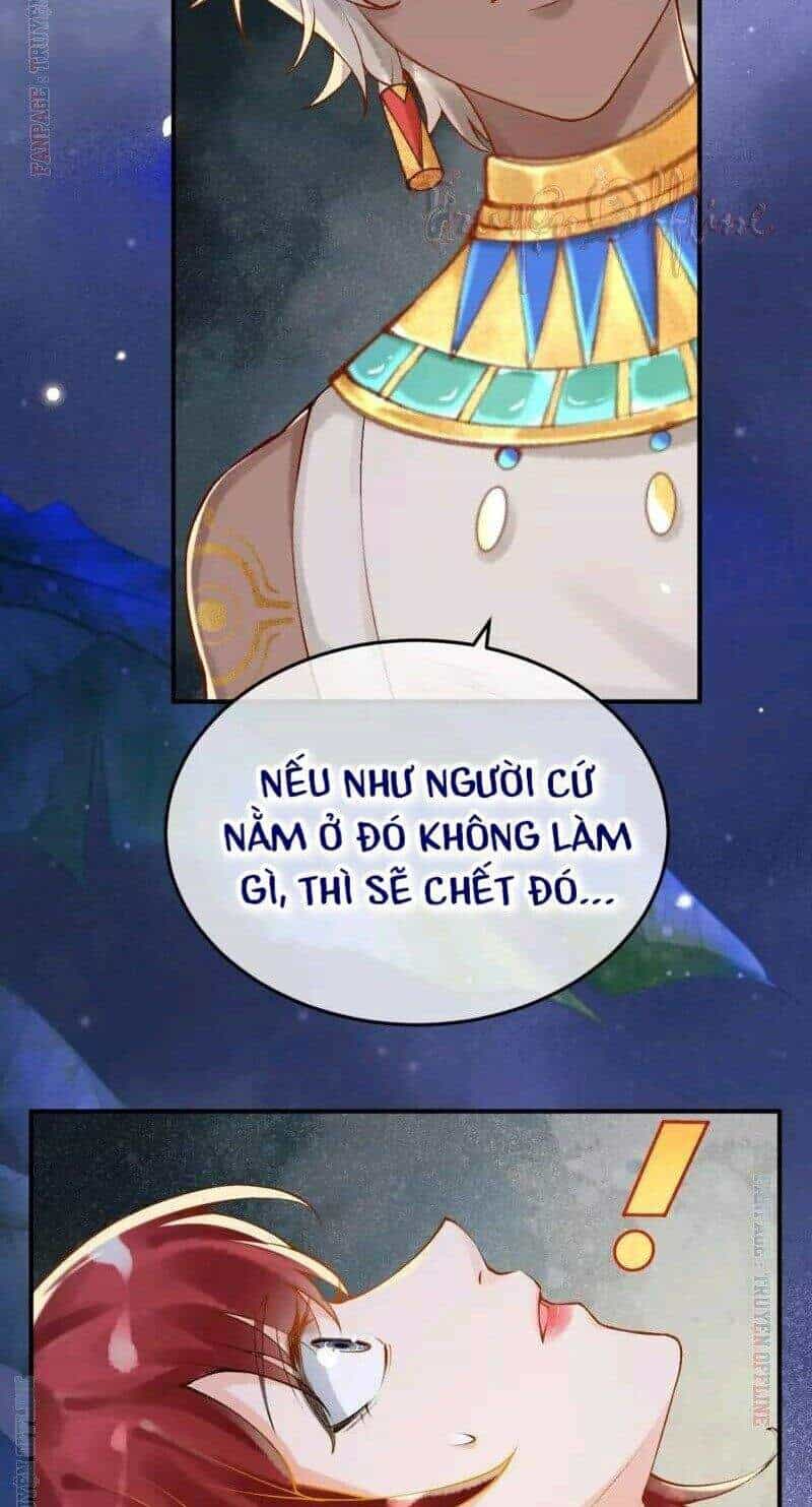 Xuyên Đến Ai Cập : Trở Thành Cô Dâu Của Vương - Chương 16 - ảnh 2