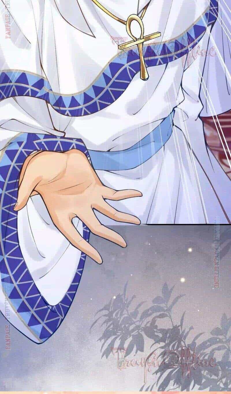 Xuyên Đến Ai Cập : Trở Thành Cô Dâu Của Vương - Chương 16 - ảnh 36