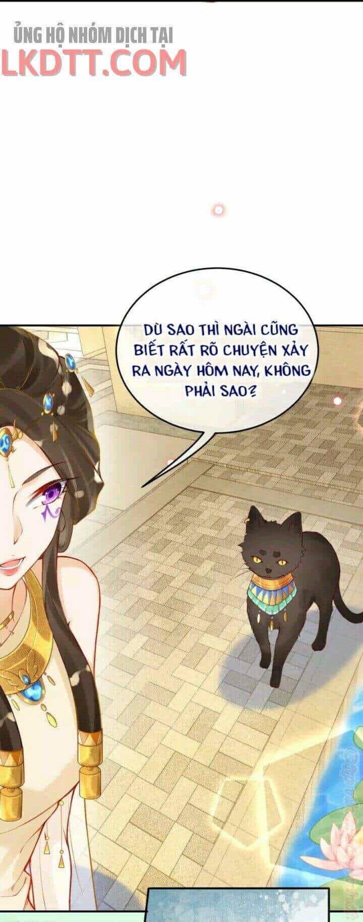 Xuyên Đến Ai Cập : Trở Thành Cô Dâu Của Vương - Chương 27 - ảnh 21