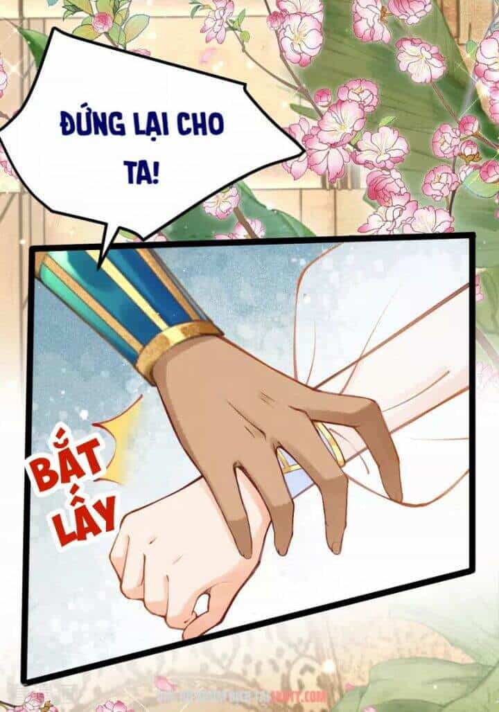 Xuyên Đến Ai Cập : Trở Thành Cô Dâu Của Vương - Chương 7 - ảnh 13