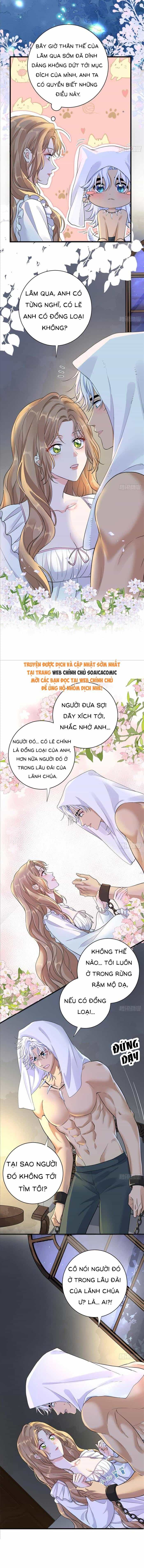 Xuyên Đến Dị Giới Toàn Trai Đẹp - Chương 44 - ảnh 4