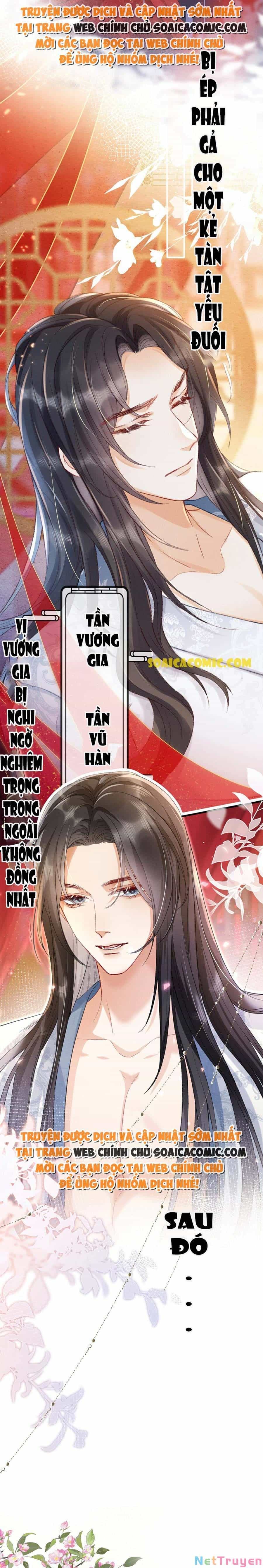 Xuyên Không Về Gả Cho Vương Gia Ốm Yếu - Chương 0 - ảnh 3