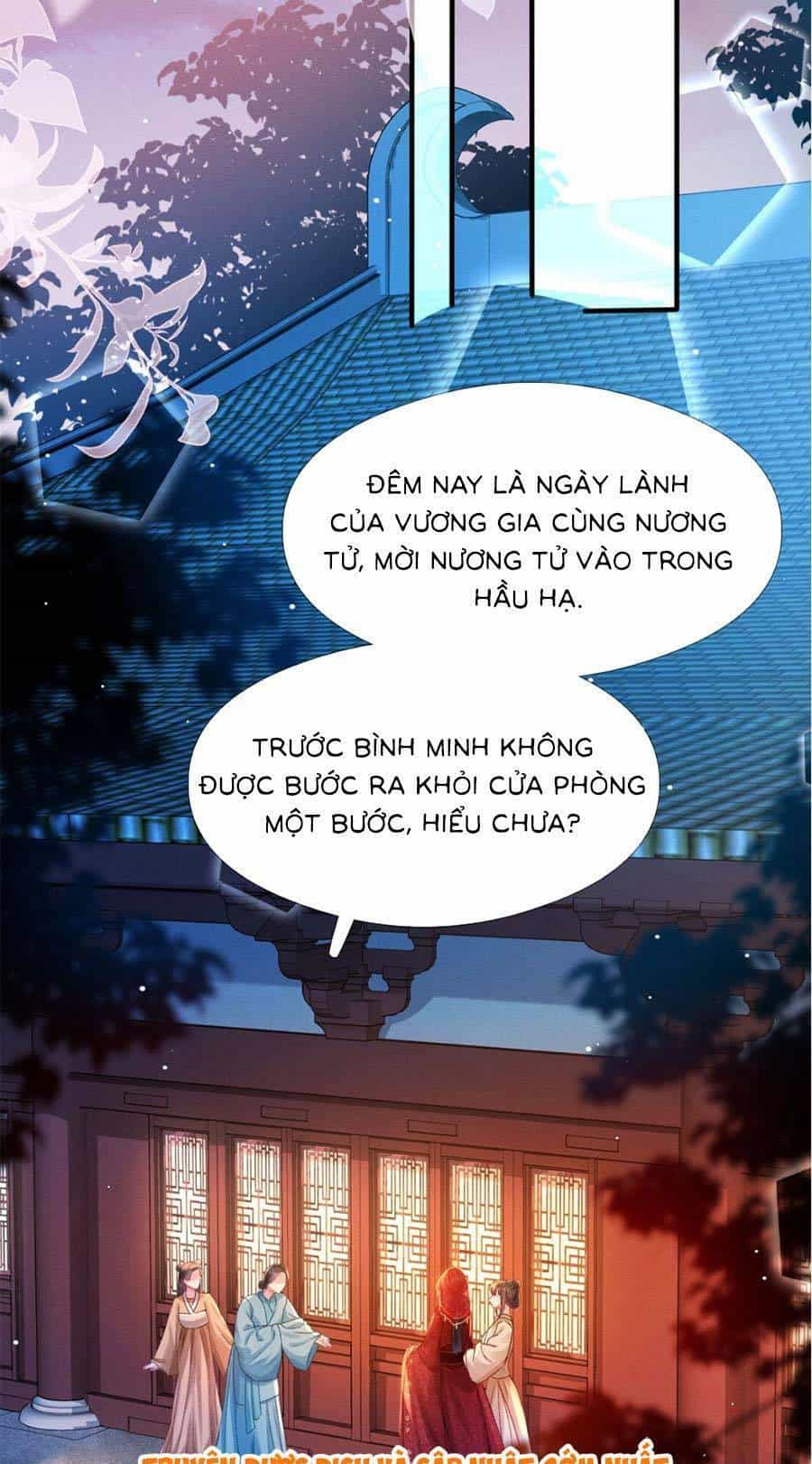 Xuyên Không Về Gả Cho Vương Gia Ốm Yếu - Chương 2 - ảnh 15