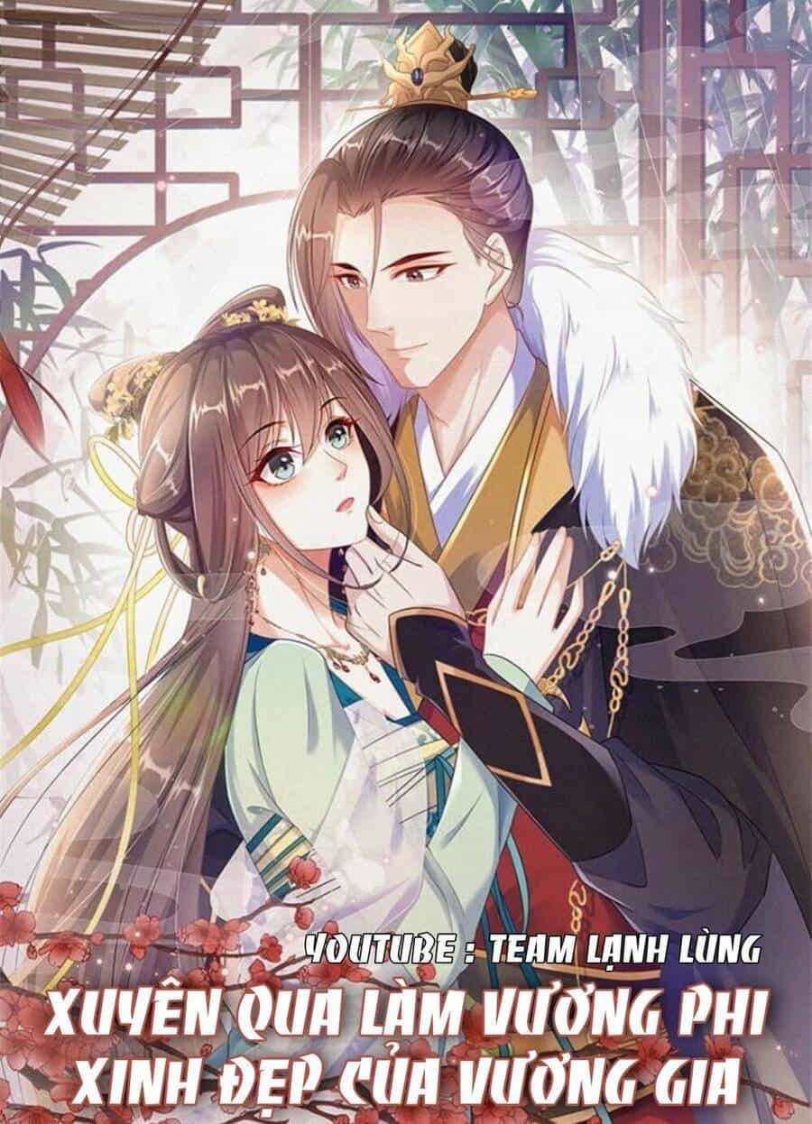 Xuyên Qua Làm Vương Phi Xinh Đẹp Của Vương Gia - Chương 20 - ảnh 1