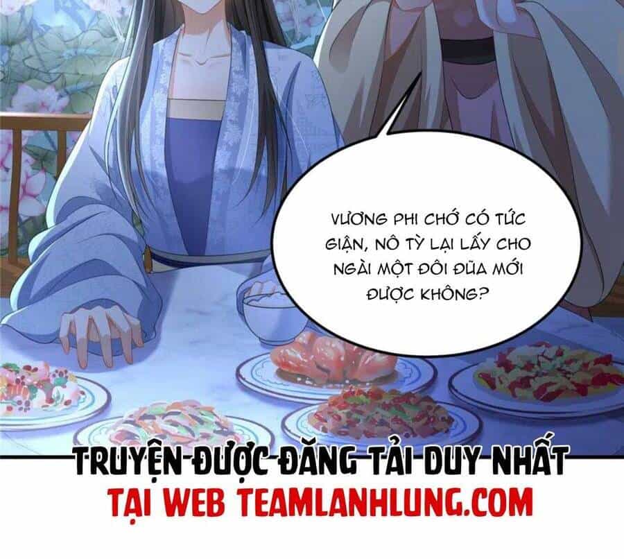 Xuyên Qua Làm Vương Phi Xinh Đẹp Của Vương Gia - Chương 31 - ảnh 19