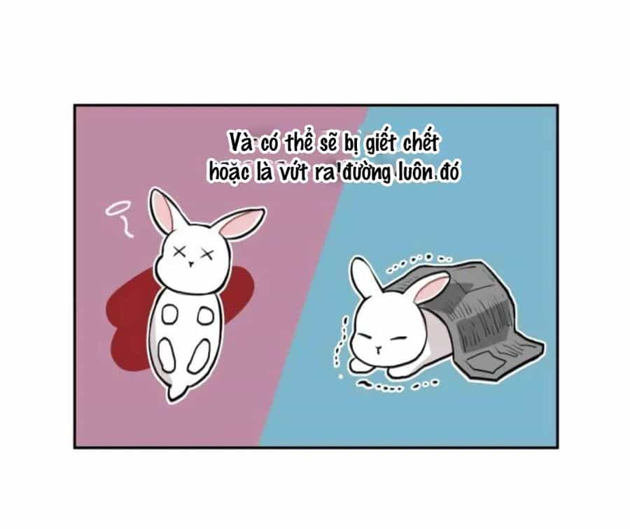 Xuyên Vào Teenfic Làm Thị Nữ - Chương 11 - ảnh 16
