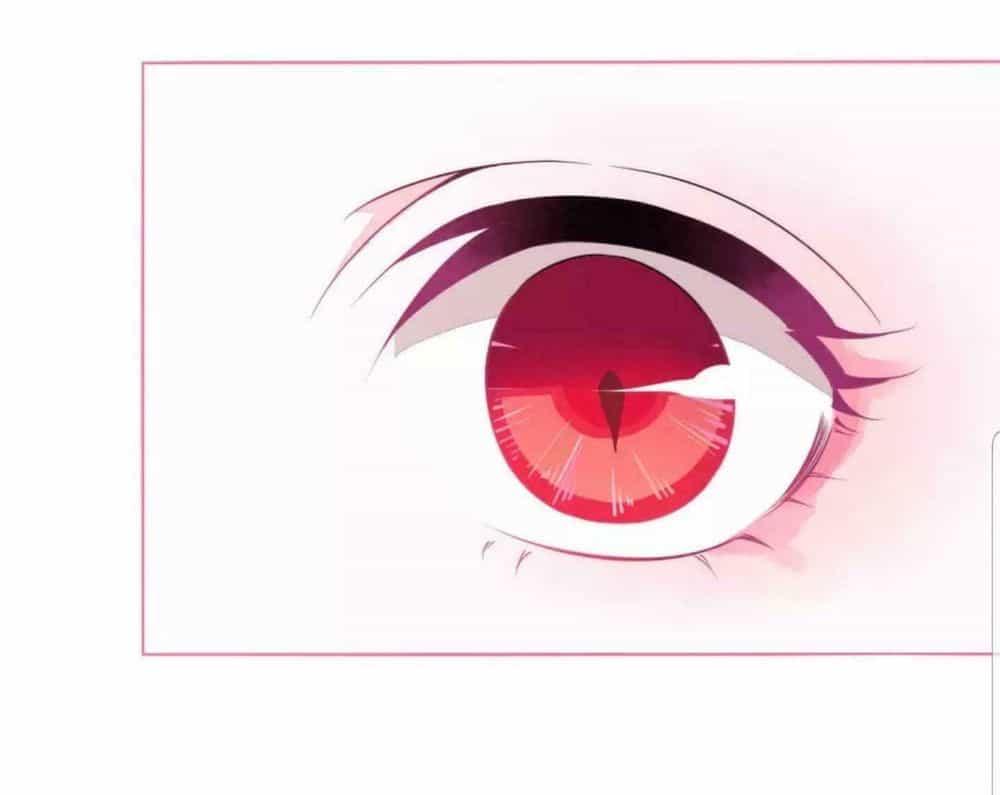 Xuyên Về Cổ Đại Làm Quốc Bảo - Chương 3 - ảnh 18