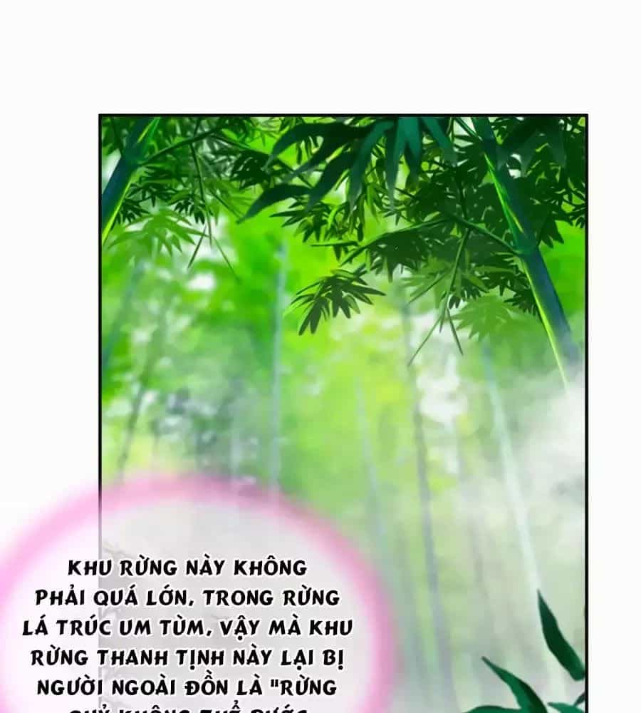 Xuyên Việt Vương Phi Yếu Thăng Cấp - Chương 99 - ảnh 14