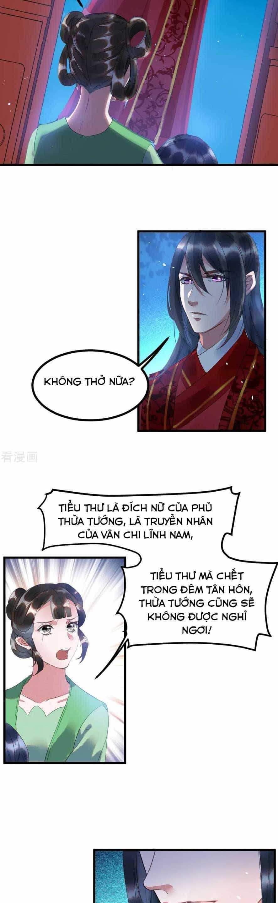 Y Phi Khuynh Thành : Vương Phi Muốn Hưu Thư - Chương 1 - ảnh 13
