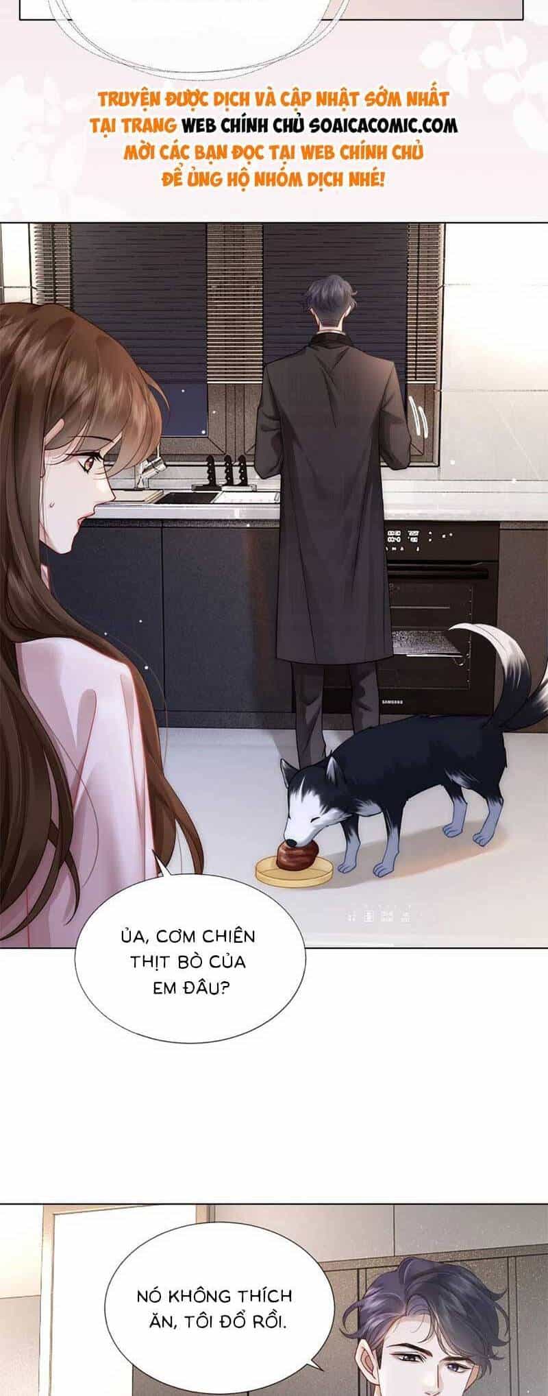Yêu Lại Sau Một Đêm Bên Nhau - Chương 17 - ảnh 14