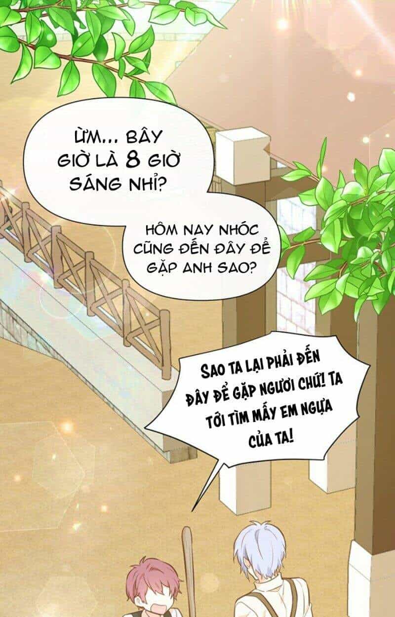 Yêu Tôi Đi, Dù Sao Ngài Cũng Chỉ Là Nhân Vật Phụ - Chương 19 - ảnh 46